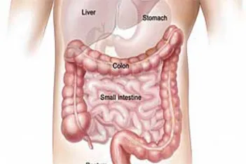 Gastro Intestinal Oncosurgery